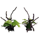 ORN-ECOSCAPE DEVILS IVY DRIFTWOOD