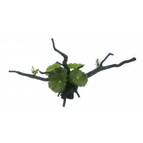 ORN-ECOSCAPE CALATHEA DRIFTWOOD