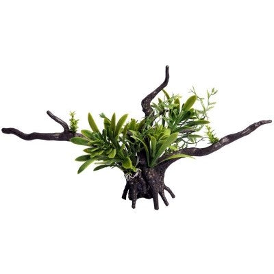 ORN-ECOSCAPE BROMEALIAD DRIFTWOOD