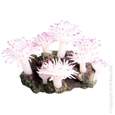 *TUBE W/ANEMONE 21x16x13CM