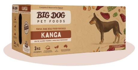 Big dog kanga