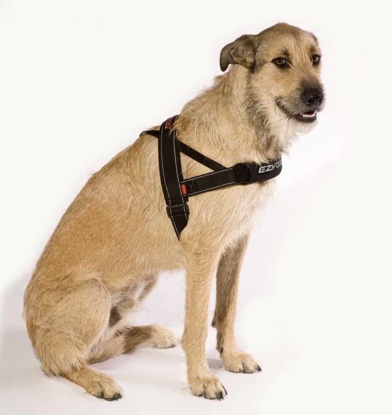 EZYDOG HARNESS QF MED BLACK