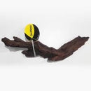 DYMAX DRIFTWOOD NANO