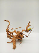 DYMAX TWEETY WOOD LARGE