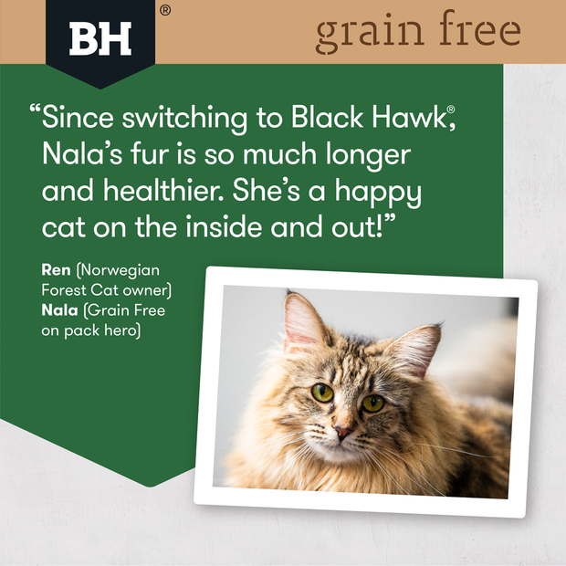 Owner feedback on black hawk