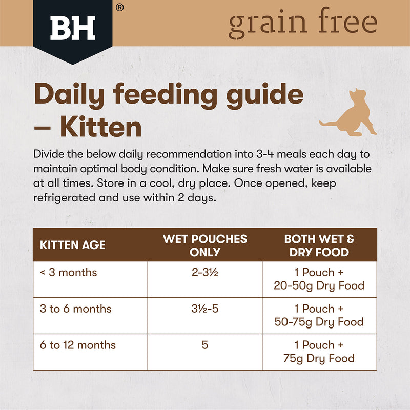 Kitten feeding guide