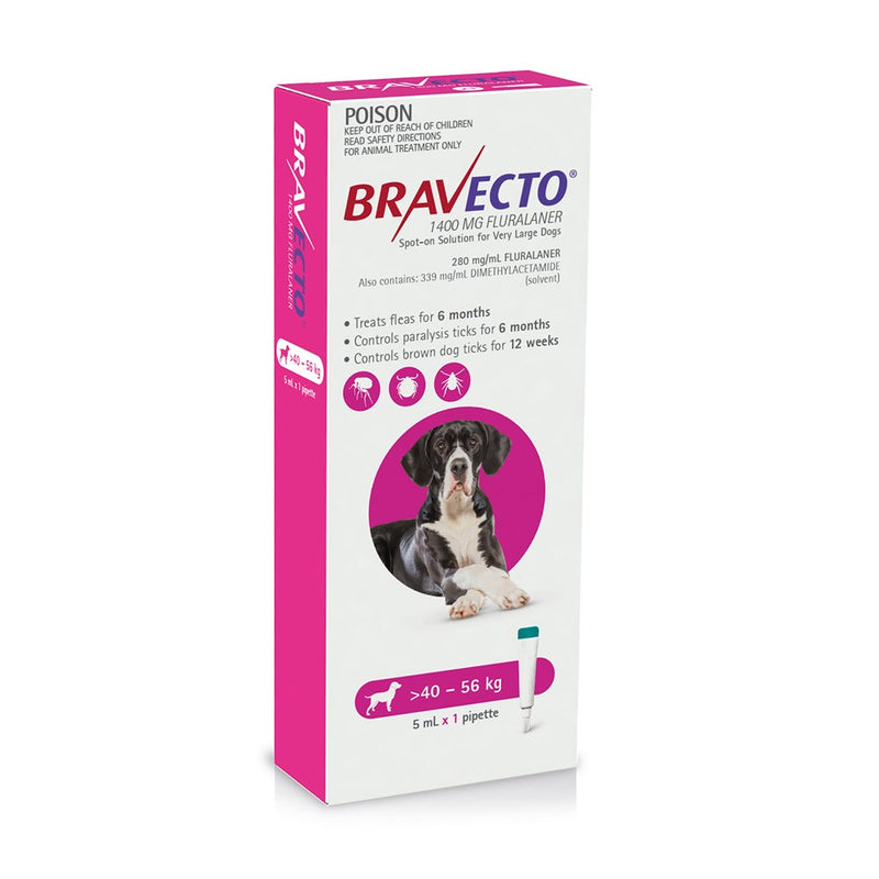 Bravecto Flea treatment