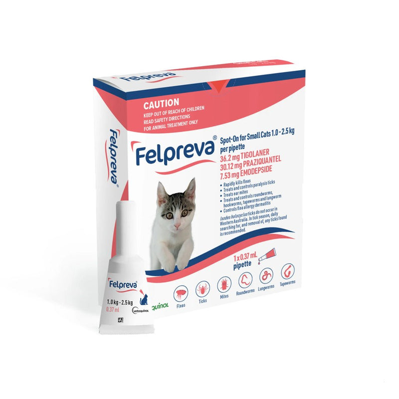 FELPREVA CAT SPOT ON 1.0-2.5KG 1PK