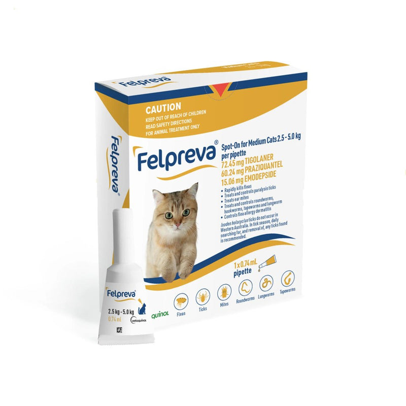 FELPREVA CAT SPOT ON 2.5-5.0KG  1PK