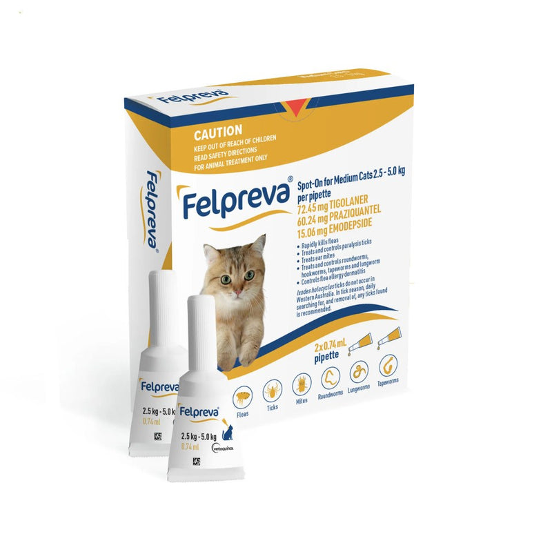 FELPREVA CAT SPOT ON 2.5-5.0KG  2PK