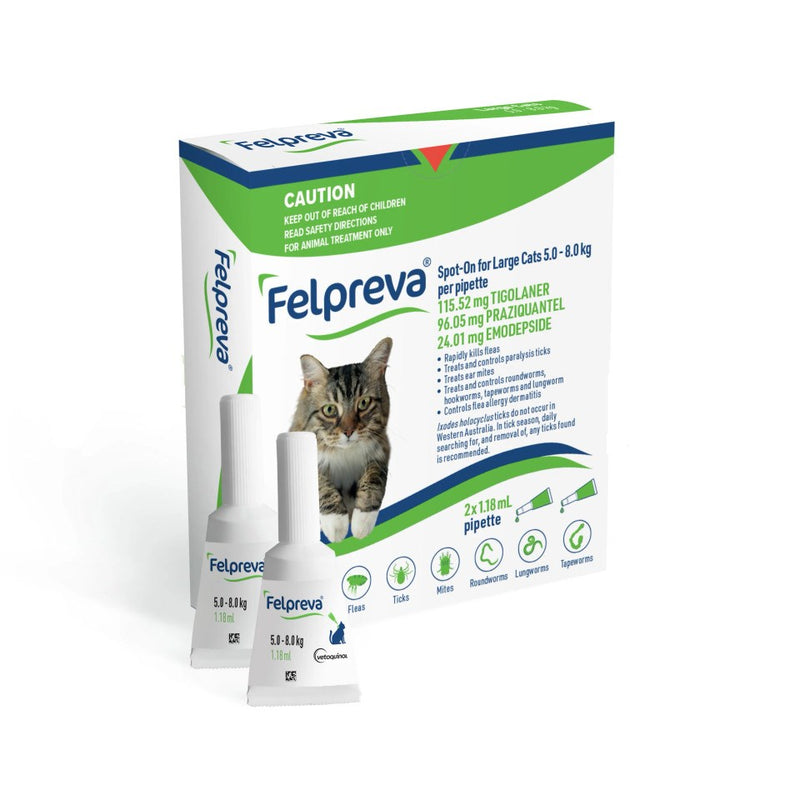 FELPREVA CAT SPOT ON 5.0-8.0KG 2PK