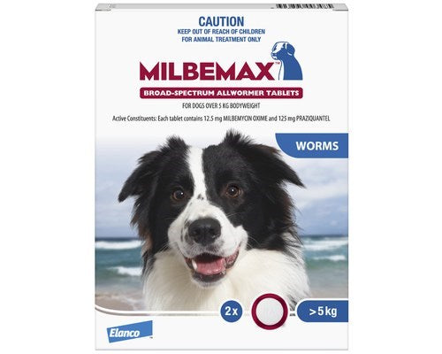 MILBEMAX DOG LARGE 5KG+ 2PK
