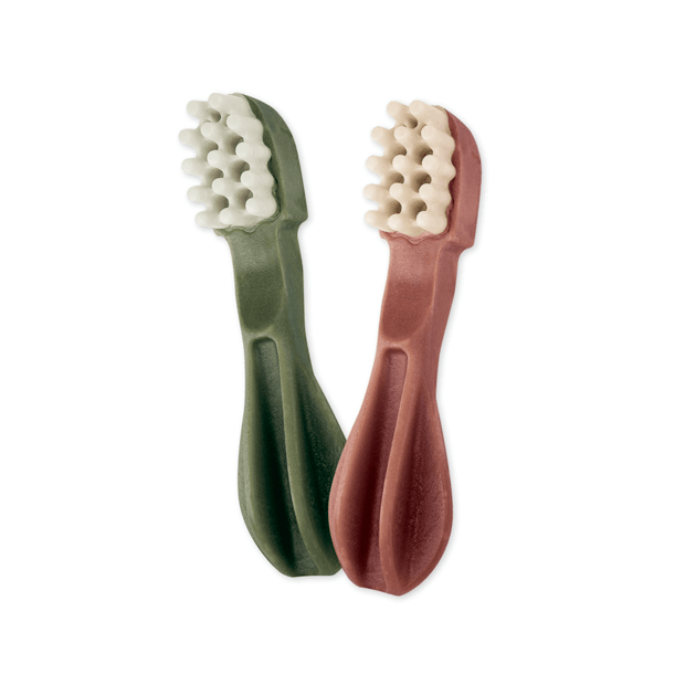 *WHIMZEES TOOTHBRUSH STAR MEDIUM EACH