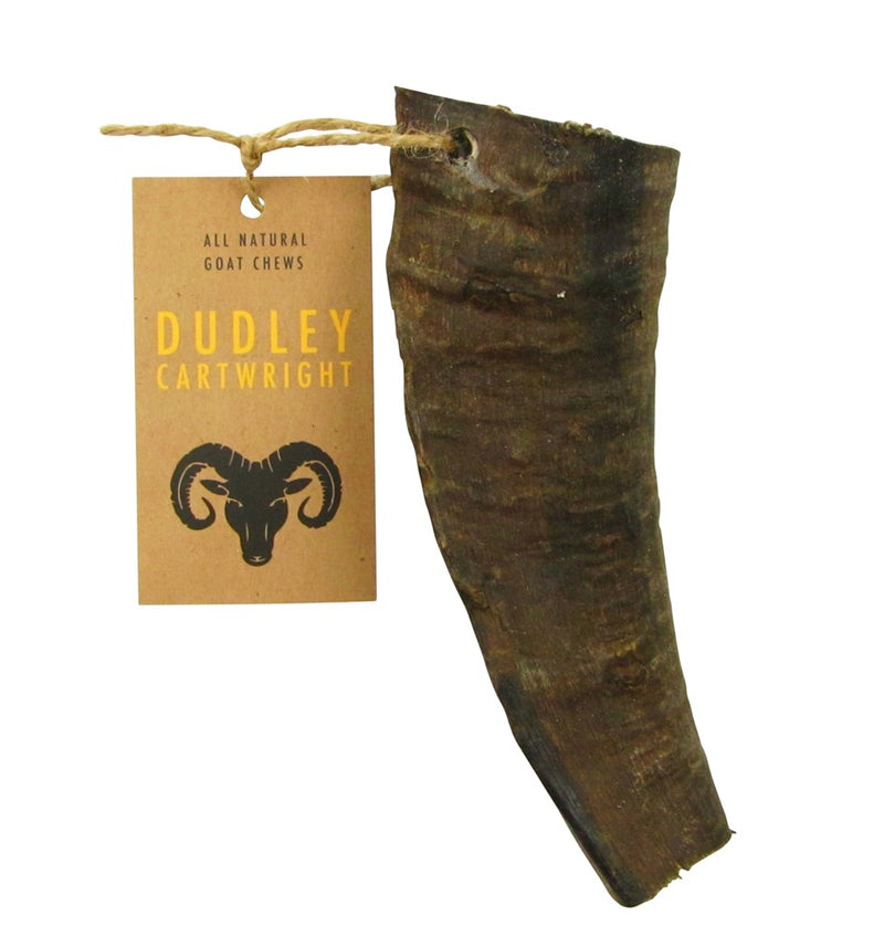DUDLEY CARTWRIGHT GOAT HORN WHOLE (CROPPED) 12-16CM