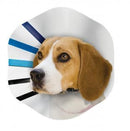 KONG EZ CLEAR COLLAR LGE