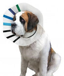 KONG EZ CLEAR COLLAR XXL