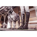 EZYDOG COLLAR OXFORD XLG BLK