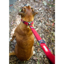 EZYDOG LEASH ZERO SHOCK 48 RED