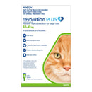 Revolution Plus large cats