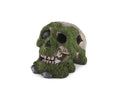 SKULL W/MOSS & AIR - SMALL SMALL 120W X 80H X 90D MM