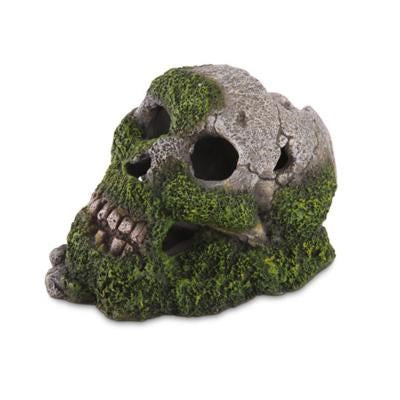 SKULL W/MOSS & AIR -MEDIUM MEDIUM 174W X 117H X 120D MM