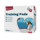 YD TRAINING PADS 100PK