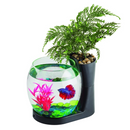 Blue Planet Betta Planter Black
