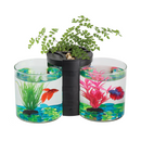Blue Planet Betta Planter Twin Black
