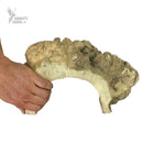 JAVA REPTILE HIDES XLARGE