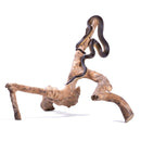 Java Reptile Branches Medium