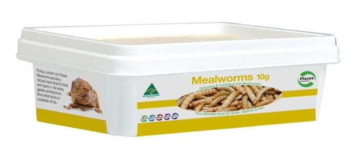 MEALWORMS 10G/TUB