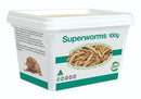 SUPER WORMS 100G TUB