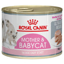 Baby cat soft mousse