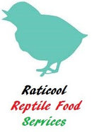 RATICOOL QUAILS 5 WEEKS OLD 2PACK
