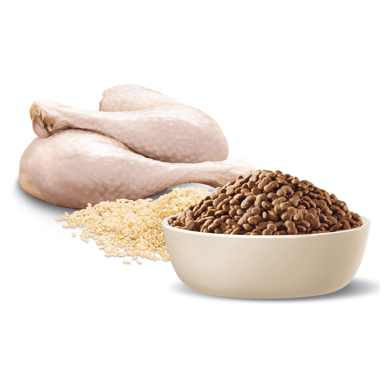 Turkey and rice kibble