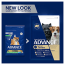 Advance for small breed terriers
