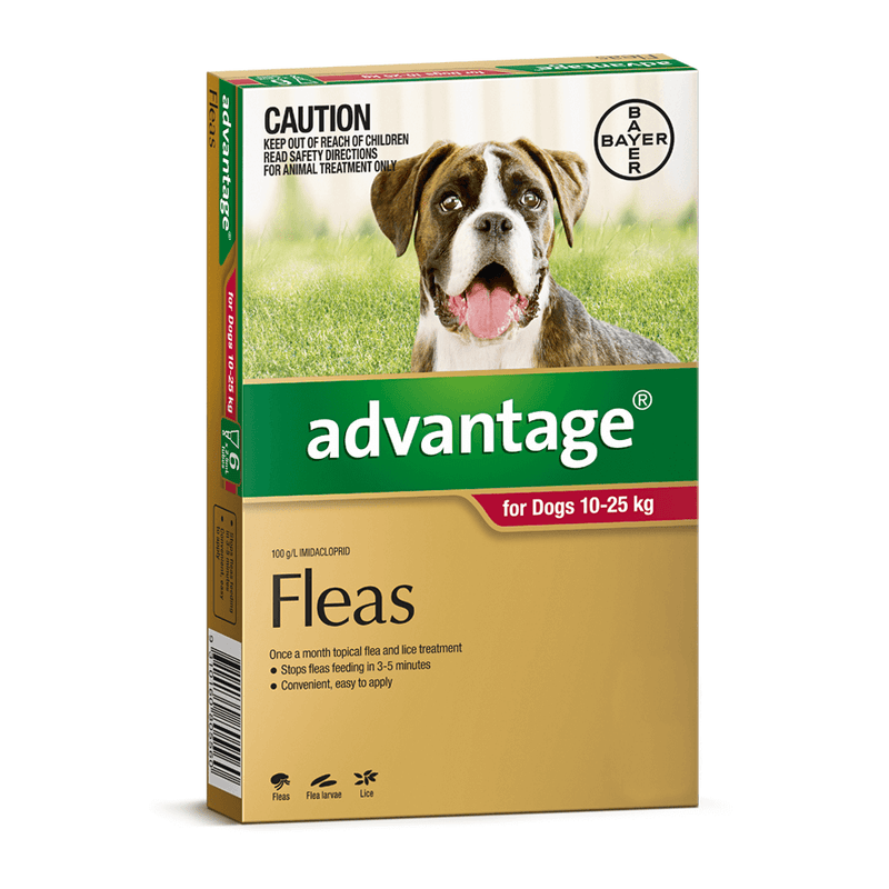 Advantage for large dogs