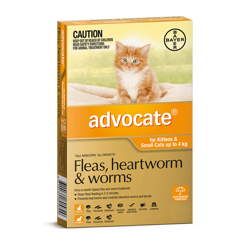 Advocate worming for kittens