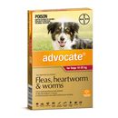Flea wormer for dogs