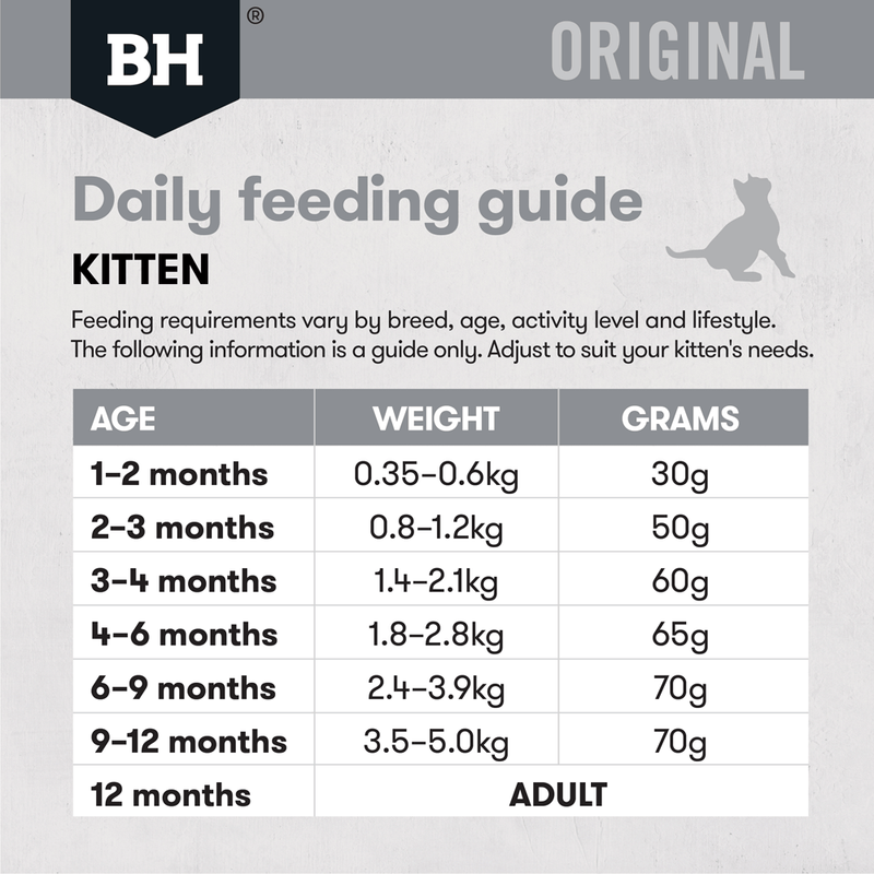 Best food to feed your kitten