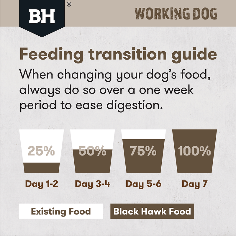 Black hawk feeding transition