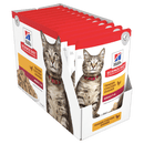 Hills chicken wet food