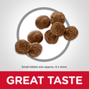 Healthy Mobility Small Bites