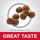 Healthy Mobility Small Bites