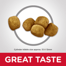 Hills feline oral care