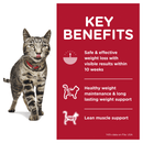 Perfect weight chicken