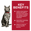 HILL'S SCIENCE DIET FELINE URINARY CHICKEN 85G 12PK BOX