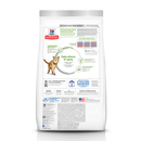 Hills youthful vitality