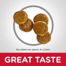 Cat food for senior cats