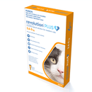 Revolution Plus for cat